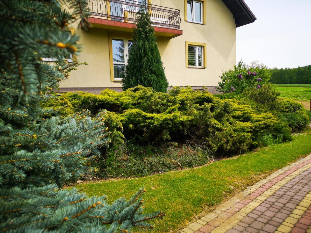 Swierkowy Zakatek Gorno  Exteriör bild